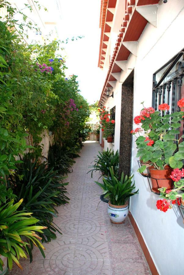 Apartamentos Inter Gandia Playa Esterno foto